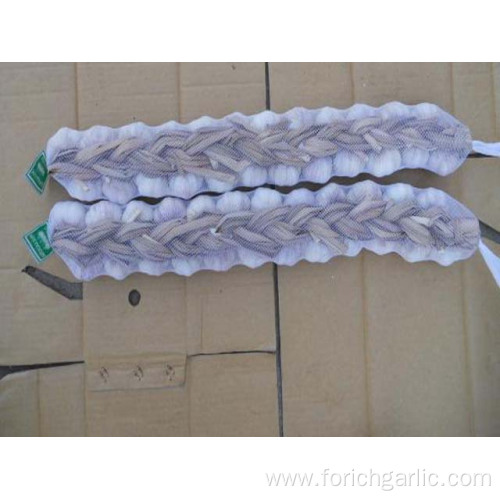 Best Quality Pure White Garlic Braids